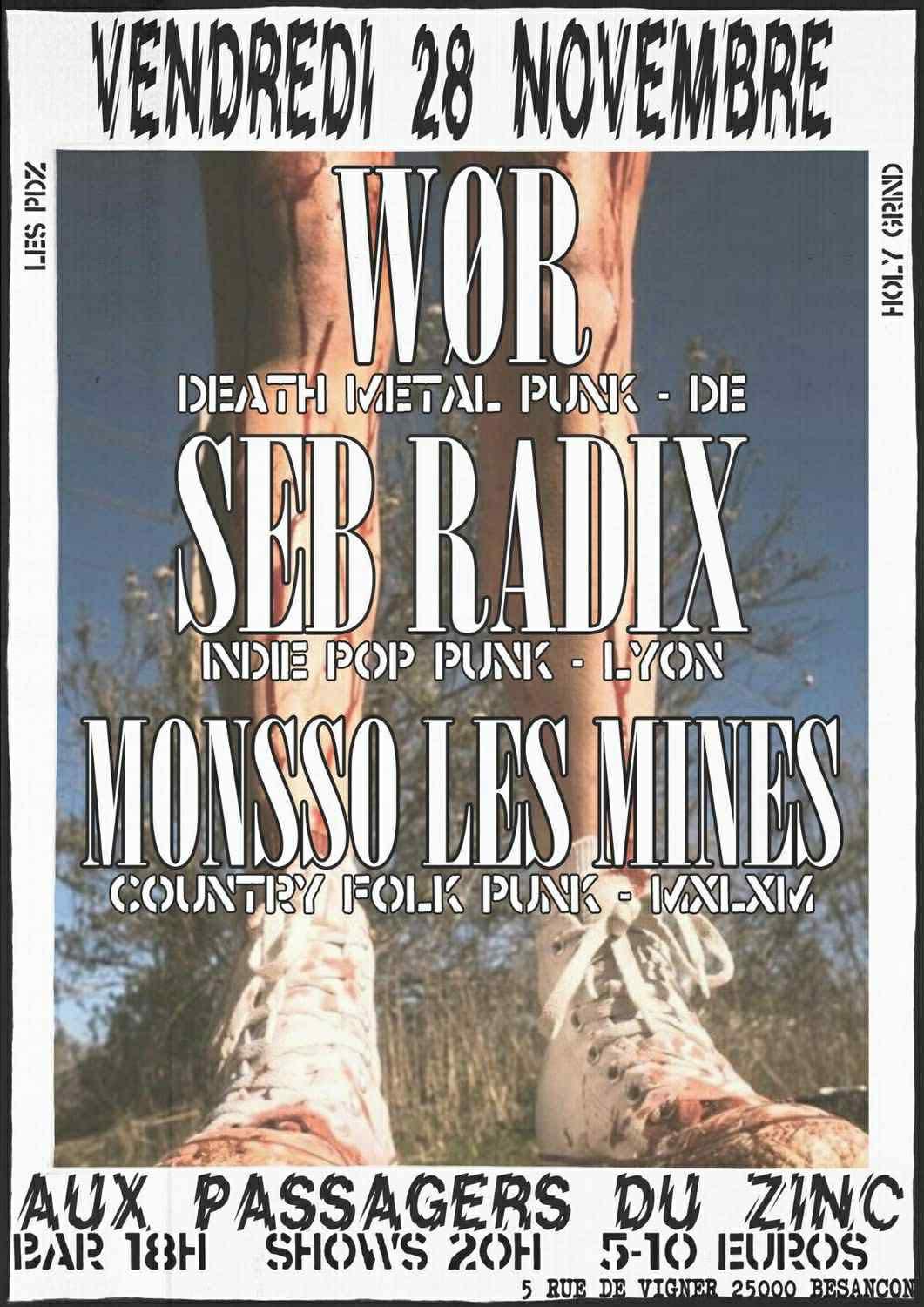 Konzertplakat Schattenparker